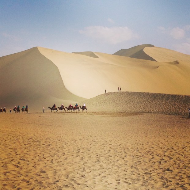 the gobi desert!