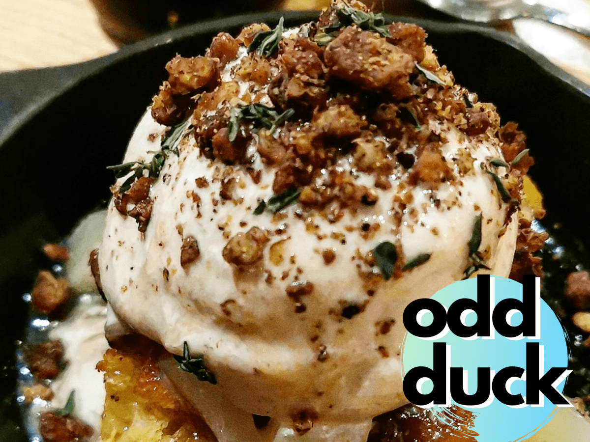 austin: odd duck